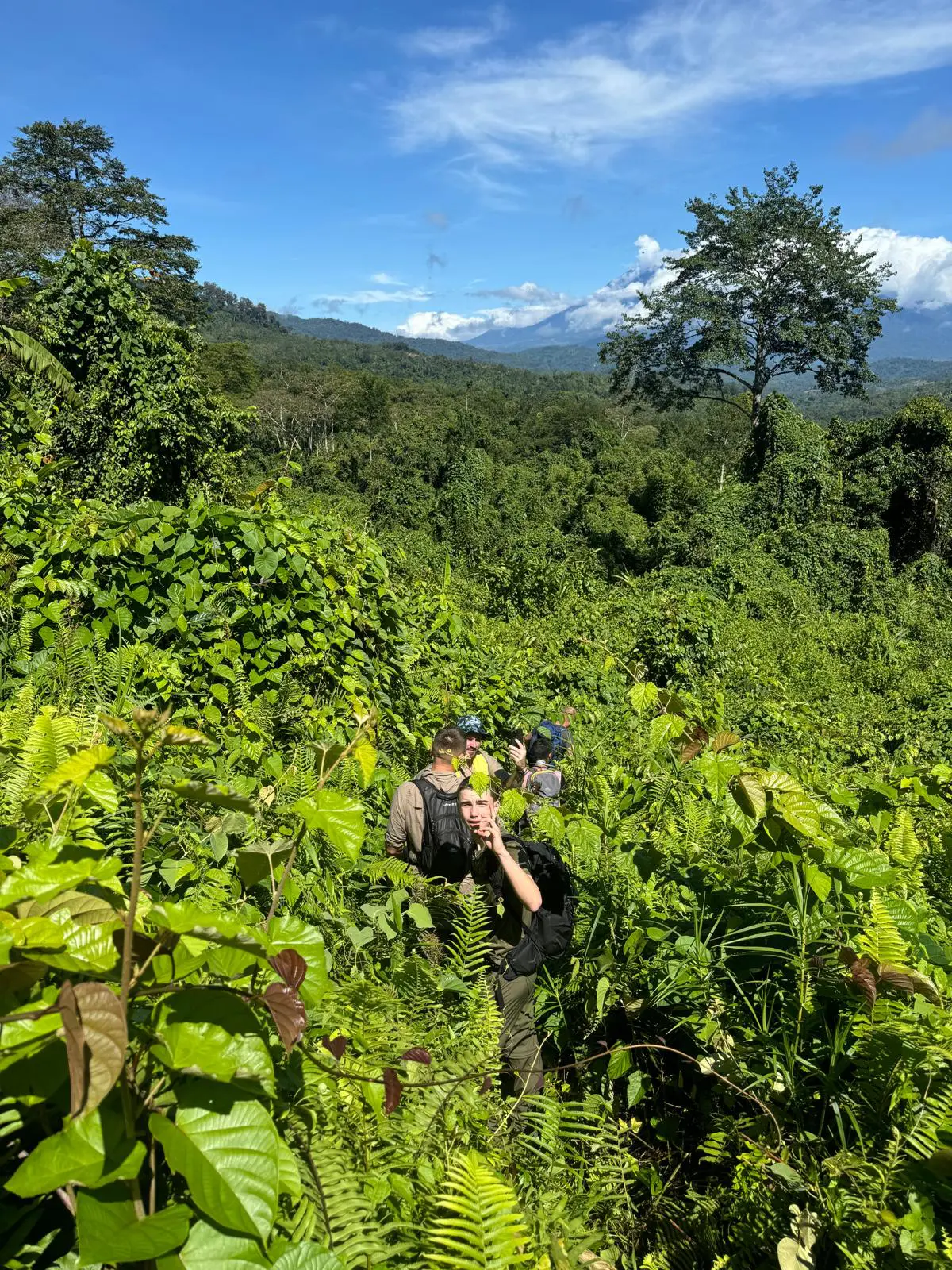 The Frontline Walk: The Borneo Jungle