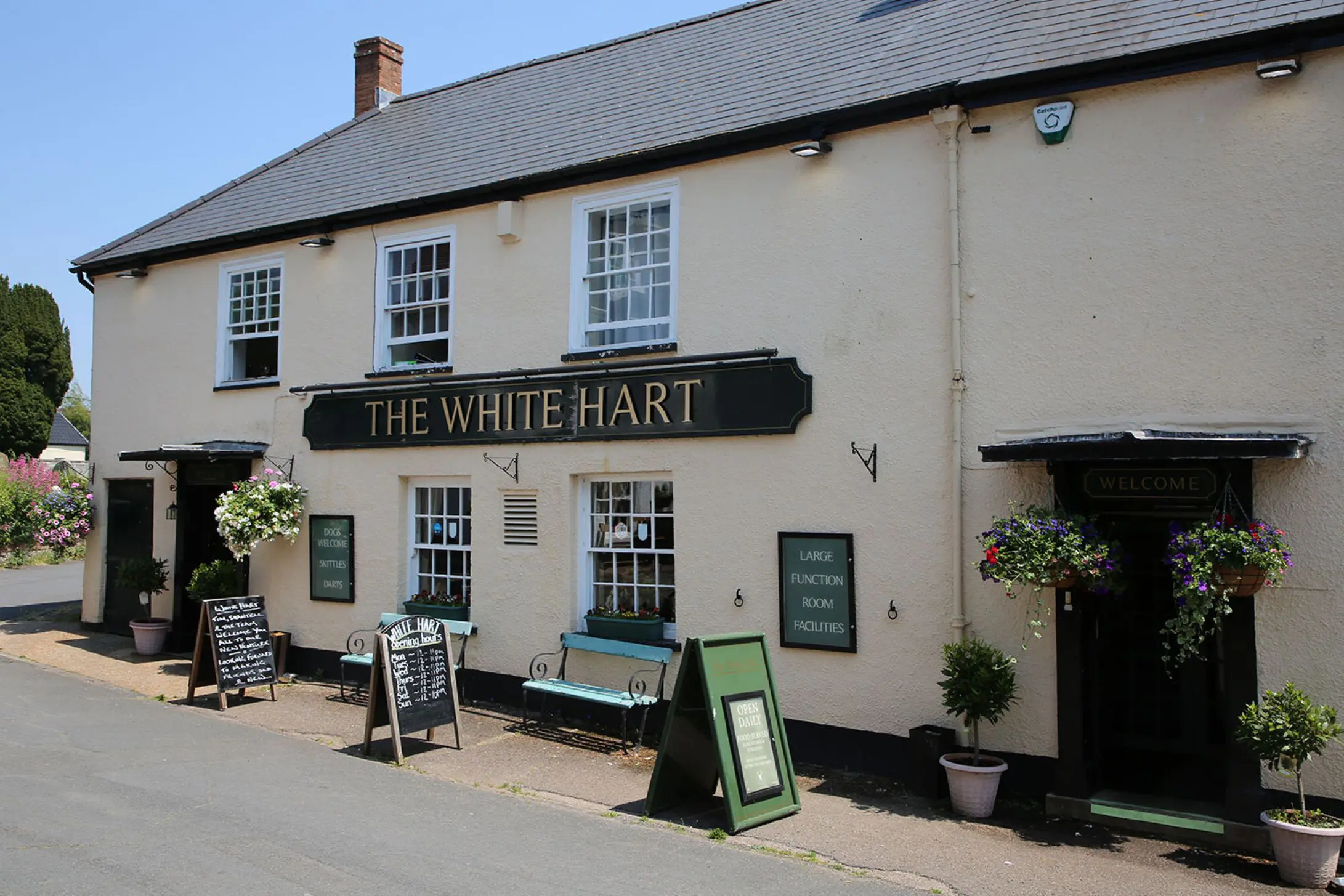 Pub Quiz at White Hart Woodbury!