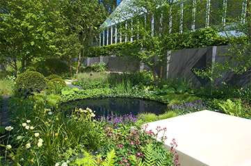 The No Man's Land garden at the 2014 RHS Chelsea Flower Show