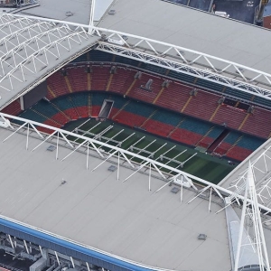 Reach New Heights Challenge