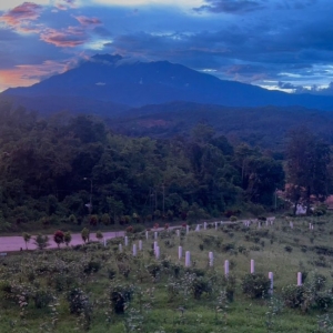 The Frontline Walk: The Borneo Jungle 2027